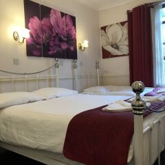 Springfield Hotel комната для гостей фото 5