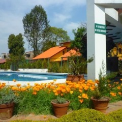 Отель Shaligram Hotel Непал, Лалитпур - отзывы, цены и фото номеров - забронировать отель Shaligram Hotel онлайн бассейн