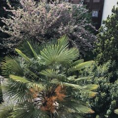 Hotel San Biagio фото 2