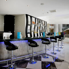 Elite Hotels Darica Spa & Convention Center Турция, Гебзе - отзывы, цены и фото номеров - забронировать отель Elite Hotels Darica Spa & Convention Center онлайн гостиничный бар
