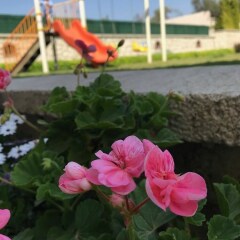 Nea Garden Hotel Alacati Чешме фото 12