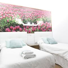 Отель Hostal Royal Cruz фото 29