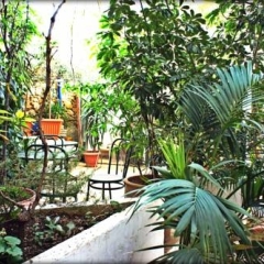 Dioskouros Hostel