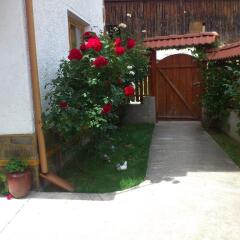 Отель Guest House Stoletnika Чепеларе фото 4