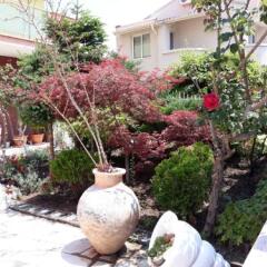 Отель Guest House Ralitsa с домашними животными