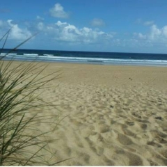 Отель Camping Playa Joyel Испания, Ноха - отзывы, цены и фото номеров - забронировать отель Camping Playa Joyel онлайн пляж фото 2