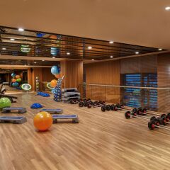 Отель Regnum Carya Golf & Spa Resort фитнесс-зал