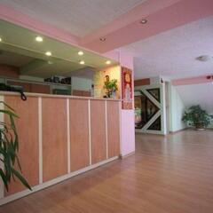 Airport Hotel Les Amis бассейн