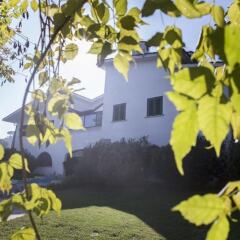 Отель Il Pettirosso B&B Италия, Гроттаферрата - отзывы, цены и фото номеров - забронировать отель Il Pettirosso B&B онлайн фото 6