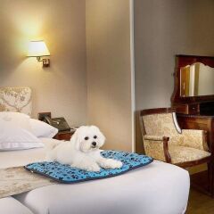 Hotel Principe Pio с домашними животными