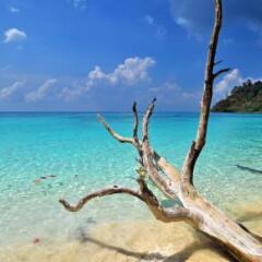 Отель Krabi Home Town Boutique Таиланд, Краби - отзывы, цены и фото номеров - забронировать отель Krabi Home Town Boutique онлайн приотельная территория