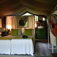 Отель Mahoora Tented Safari Camp All-Inclusive - Yala Шри-Ланка, Катарагама - отзывы, цены и фото номеров - забронировать отель Mahoora Tented Safari Camp All-Inclusive - Yala онлайн комната для гостей фото 3