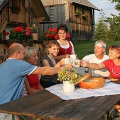 Отель Apparthotel Montana Австрия, Бад-Миттерндорф - отзывы, цены и фото номеров - забронировать отель Apparthotel Montana онлайн питание фото 3