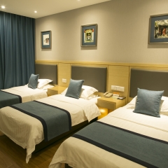 Отель Citytel Inn комната для гостей фото 2