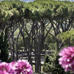 Отель NH Collection Roma Vittorio Veneto Италия, Рим - 1 отзыв об отеле, цены и фото номеров - забронировать отель NH Collection Roma Vittorio Veneto онлайн