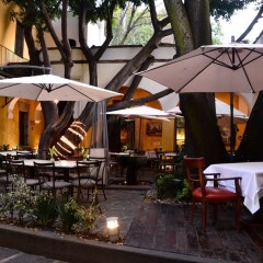 Отель Suites Los Camilos - Adults Only Мексика, Мехико - отзывы, цены и фото номеров - забронировать отель Suites Los Camilos - Adults Only онлайн гостиничный бар
