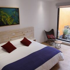 Отель Coyoacan-inn Guesthouse Мексика, Мехико - отзывы, цены и фото номеров - забронировать отель Coyoacan-inn Guesthouse онлайн фото 16