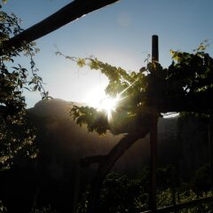 Отель Agriturismo Orrido di Pino Аджерола развлечения