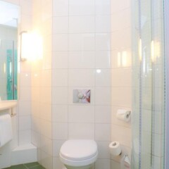 Ibis Moscow Paveletskaya Hotel in Moscow, Russia from 47$, photos, reviews - zenhotels.com bathroom photo 2