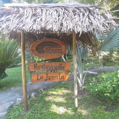 Отель Omega Tours Adventure Company & Eco Jungle Lodge спа