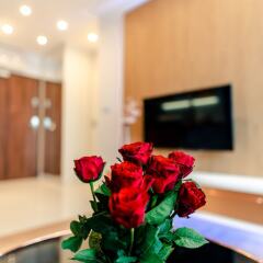 Отель Pure Rental Apartments - City Residence Польша, Вроцлав - отзывы, цены и фото номеров - забронировать отель Pure Rental Apartments - City Residence онлайн фото 11