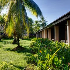 Отель Tanoa International Hotel Фиджи, Вити-Леву - отзывы, цены и фото номеров - забронировать отель Tanoa International Hotel онлайн фото 5