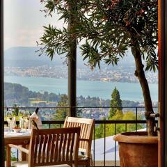 Отель Sorell Hotel Zürichberg Швейцария, Цюрих - 2 отзыва об отеле, цены и фото номеров - забронировать отель Sorell Hotel Zürichberg онлайн балкон