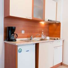 Отель Apart Hotel Flora Residence Болгария, Боровец - отзывы, цены и фото номеров - забронировать отель Apart Hotel Flora Residence онлайн в номере