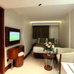 Victory Hotel & Spa Istanbul Стамбул удобства в номере фото 2