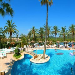 Отель VIVA Eden Lago с домашними животными