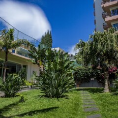 Отель Dorisol Mimosa Hotel Португалия, Фуншал - отзывы, цены и фото номеров - забронировать отель Dorisol Mimosa Hotel онлайн фото 7