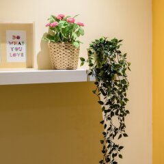 Отель Charming Malasaña интерьер отеля фото 3