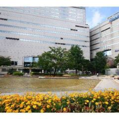 Отель Sutton Fukuoka Tenjin Фукуока