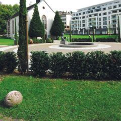 Отель Aqua Aurelia Suitenhotel Германия, Баден-Баден - 1 отзыв об отеле, цены и фото номеров - забронировать отель Aqua Aurelia Suitenhotel онлайн фото 6