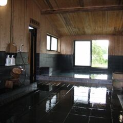 Отель Hakuba Alpine Hotel Япония, Хакуба - отзывы, цены и фото номеров - забронировать отель Hakuba Alpine Hotel онлайн бассейн