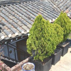 Отель Raon Guest House Jongno Южная Корея, Сеул - отзывы, цены и фото номеров - забронировать отель Raon Guest House Jongno онлайн фото 7