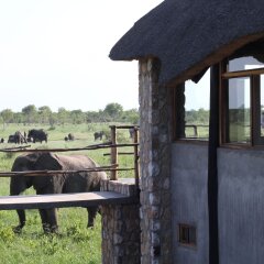 Gwango Elephant Lodge in Dete, Zimbabwe from 332$, photos, reviews - zenhotels.com balcony