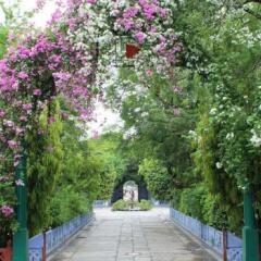 Hotel Diggi Palace фото 5
