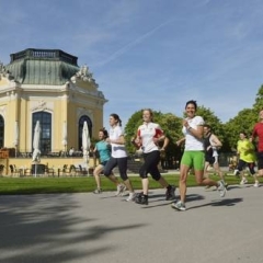 Отель Schönbrunn Park Apartement Австрия, Вена - отзывы, цены и фото номеров - забронировать отель Schönbrunn Park Apartement онлайн спортивное сооружение