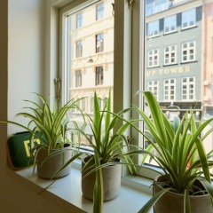 Апартаменты Two-Story LUX Apartment in Heart of Cph интерьер отеля