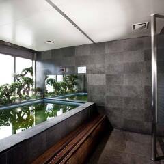 Отель Ibis Styles Ambassador Seoul Myeongdong Сеул сауна