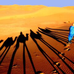 Отель Гостевой дом La Vallée des Dunes Марокко, Мерзуга - отзывы, цены и фото номеров - забронировать отель Гостевой дом La Vallée des Dunes онлайн фото 4