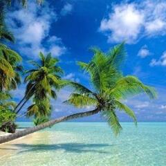 Отель Maafushi Южный Мале Атол пляж