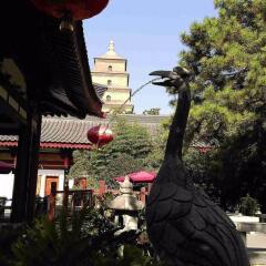 Отель Tang Dynasty Art Garden Hotel Китай, Сиань - отзывы, цены и фото номеров - забронировать отель Tang Dynasty Art Garden Hotel онлайн фото 12