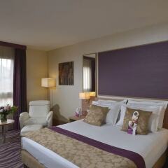 Отель Crowne Plaza Toulouse Франция, Тулуза - 1 отзыв об отеле, цены и фото номеров - забронировать отель Crowne Plaza Toulouse онлайн фото 8