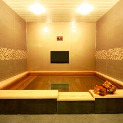 Отель ibis Styles Ambassador Seoul Gangnam Южная Корея, Сеул - 2 отзыва об отеле, цены и фото номеров - забронировать отель ibis Styles Ambassador Seoul Gangnam онлайн бассейн фото 2