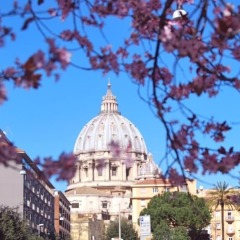 Отель Vatican Room Rental фото 2