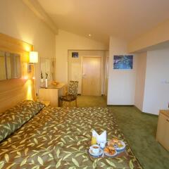 Hotel Festa Chamkoria комната для гостей фото 5