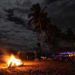 Отель Bamboo Backpackers Фиджи, Вити-Леву - отзывы, цены и фото номеров - забронировать отель Bamboo Backpackers онлайн фото 3
