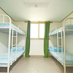 Kimchee Downtown Guesthouse - Hostel с домашними животными
